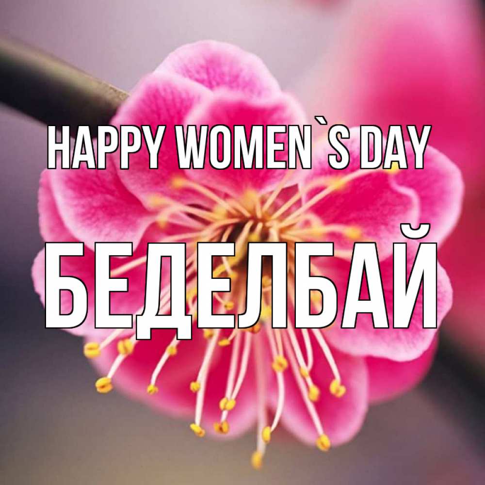 Greetings card с именем, Беделбай happy women`s day цветы Greetings with text for free download 